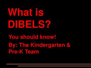 What is DIBELS?