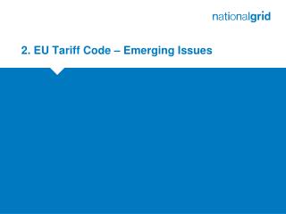 2. EU Tariff Code – Emerging Issues
