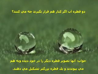 دو قطره آب اگر كنار هم قرار بگيرند چه مي كنند؟