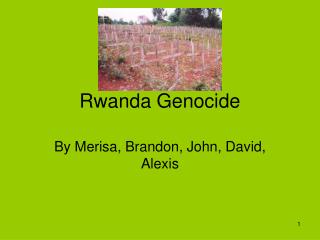 Rwanda Genocide