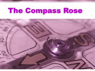 The Compass Rose