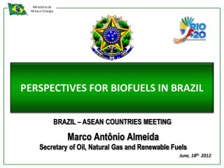PERSPECTIVES FOR BIOFUELS IN BRAZIL