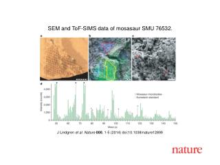 J Lindgren et al. Nature 000 , 1-5 (2014) doi:10.1038/nature12899