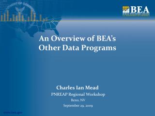 An Overview of BEA’s Other Data Programs