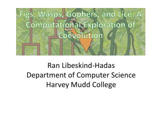 Figs, Wasps, Gophers, and Lice: A Computational Exploration of Coevolution