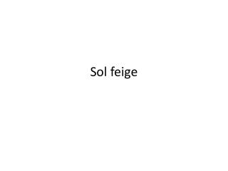 Sol feige