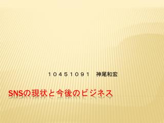 SNS の現状と今後のビジネス