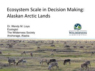 Ecosystem Scale in Decision Making: Alaskan Arctic Lands