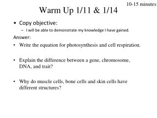 Warm Up 1/11 &amp; 1 /14