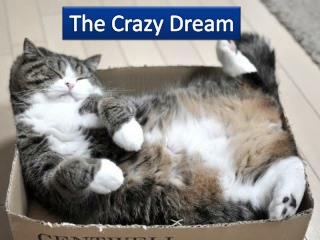 The Crazy Dream