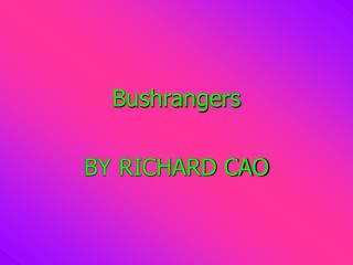 Bushrangers