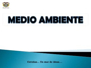 MEDIO AMBIENTE