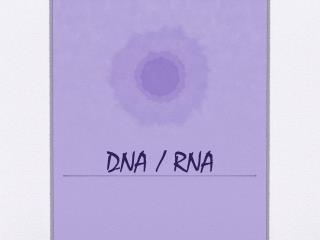 DNA / RNA