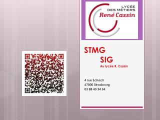 STMG 	SIG Au lycée R. Cassin