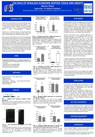 THE ROLE OF RENALASE IN BROWN ADIPOSE TISSUE AND OBESITY Monica Chand