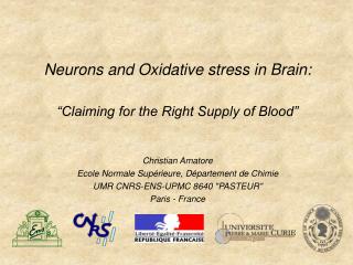 Neurons and Oxidative stress in Brain: “Claiming for the Right Supply of Blood”