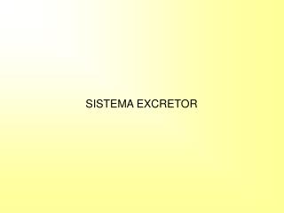 SISTEMA EXCRETOR