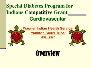 Special Diabetes Program for Indians Competitive Grant