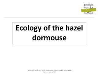 Ecology of the hazel dormouse