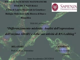 FACOLTA’ DI SCIENZE MATEMATICHE FISICHE E NATURALI