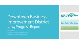 Downtown Business Improvement District 2014 Progress Report