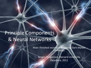 Principle Components &amp; Neural Networks