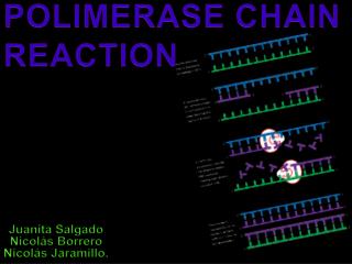 POLIMERASE CHAIN REACTION