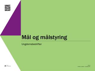 Mål og målstyring