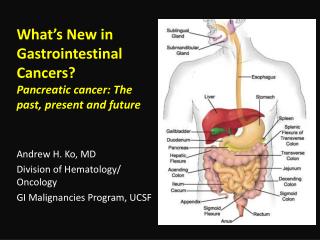 What’s New in Gastrointestinal Cancers? Pancreatic cancer: The past, present and future