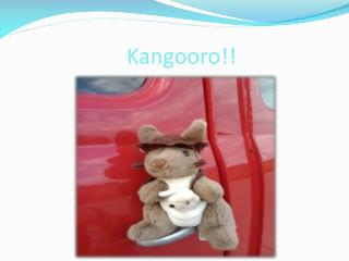 Kangooro !!