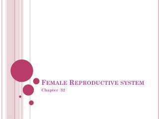 Female Reproductive system