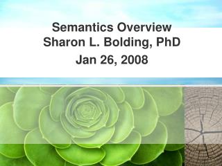 Semantics Overview Sharon L. Bolding, PhD Jan 26, 2008