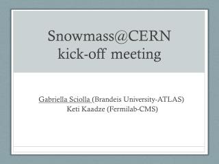 Snowmass@CERN kick-off meeting