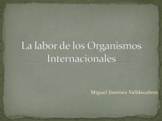 La labor de los Organismos Internacionales