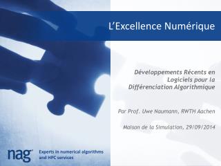 L’Excellence Numérique