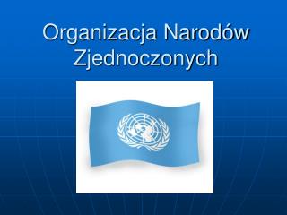 Organizacja Narodów Zjednoczonych