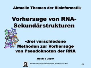 Vorhersage von RNA-Sekundärstrukturen