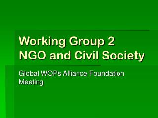 Working Group 2 NGO and Civil Society