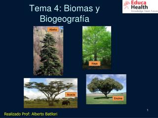 Tema 4: Biomas y Biogeografía