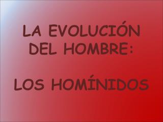 LA EVOLUCIÓN DEL HOMBRE: LOS HOMÍNIDOS