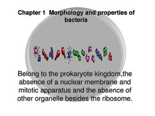 Chapter 1 Morphology and properties of bacteria