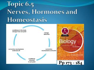Topic 6.5 Nerves, Hormones and Homeostasis