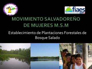 MOVIMIENTO SALVADOREÑO DE MUJERES M.S.M