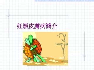 妊娠皮膚病簡介