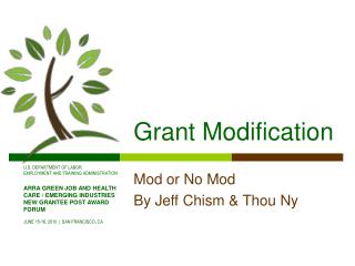 Grant Modification