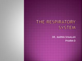 THE RESPIRATORY SYSTEM