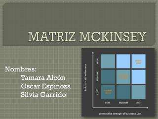 MATRIZ MCKINSEY