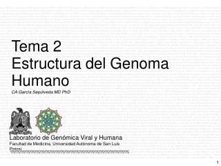 CA García Sepúlveda MD PhD