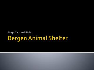 Bergen Animal Shelter