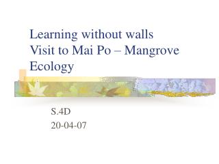 Learning without walls Visit to Mai Po – Mangrove Ecology